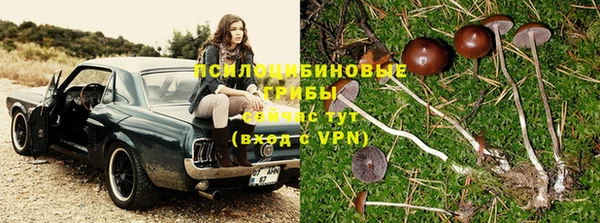 спайс Пересвет