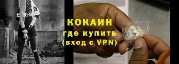 спайс Пересвет