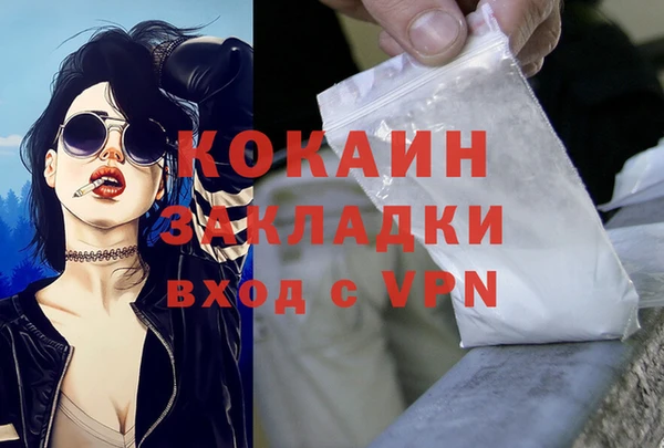 гидра Пестово