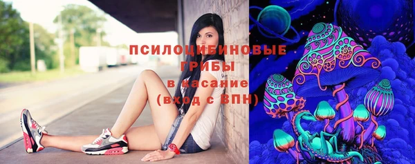 спайс Пересвет