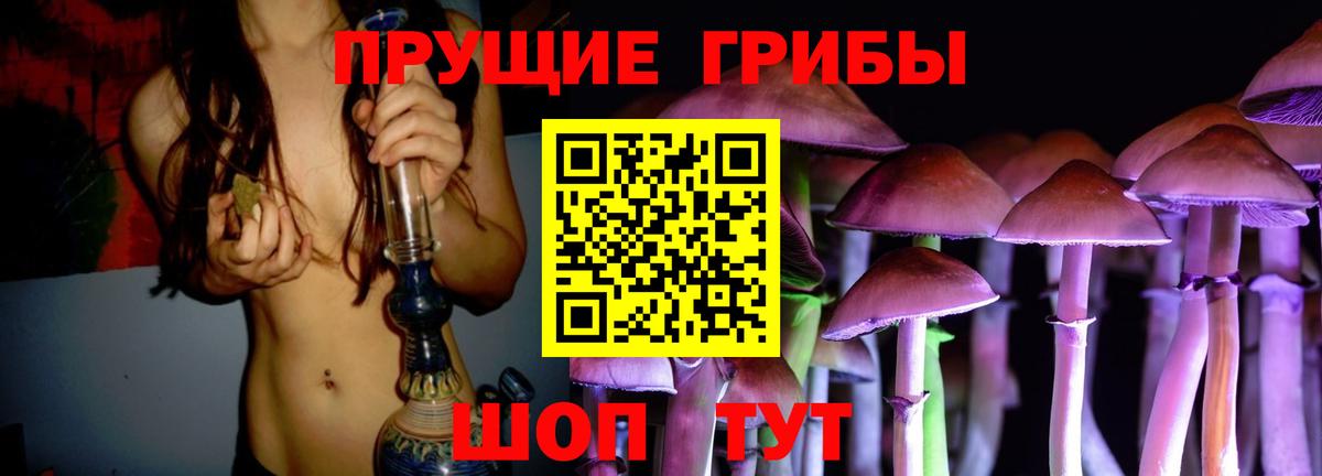 Псилоцибиновые грибы Magic Shrooms  Вход с VPN  купить наркотики сайты  Кондопога 
