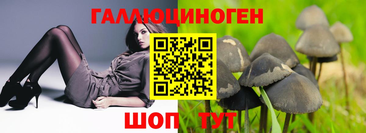 Галлюциногенные грибы GOLDEN TEACHER Кондопога